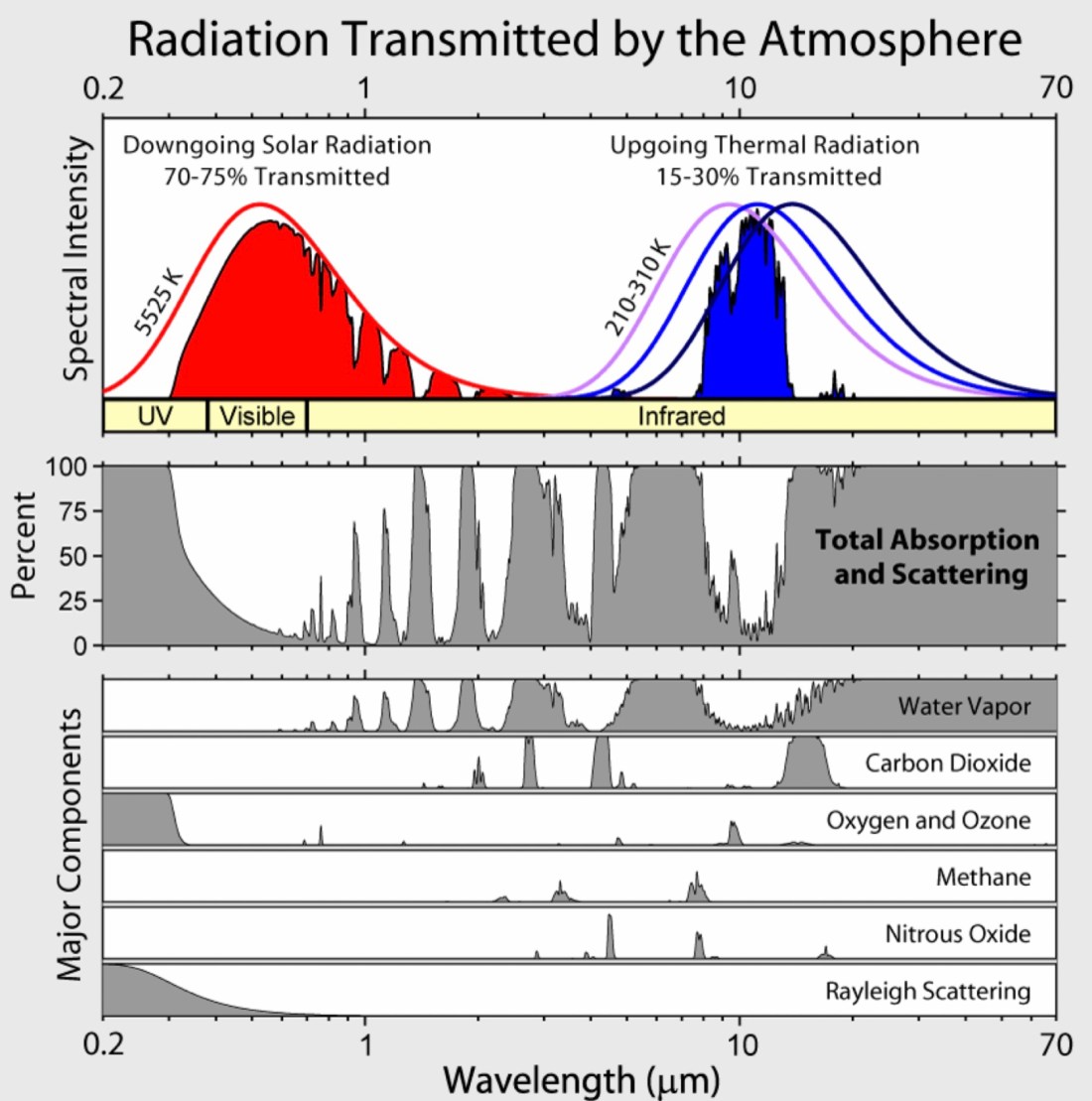Diagram som visar fördelningen av inkommande solstrålning, absorption och utgående IR-strålning