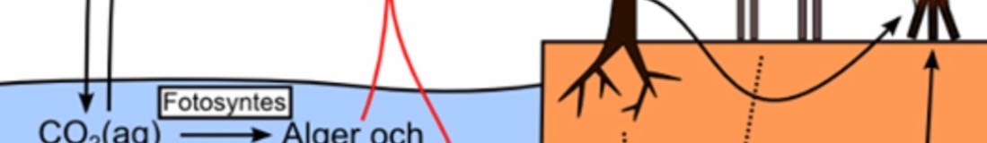 Bilden är med för att lätta upp texten, i sig är den OK.